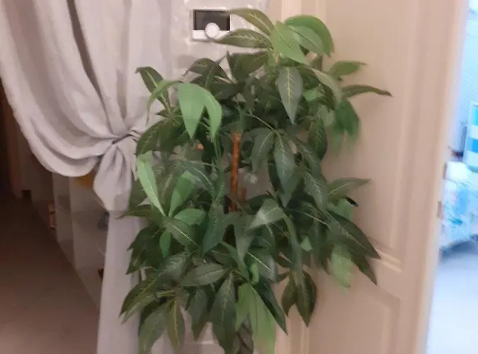 La Maison Des Caprices_ _stazione_5terre La Spezia